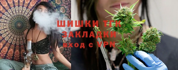 тгк Козельск