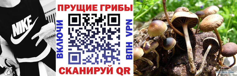 Галлюциногенные грибы Magic Shrooms  Купить где  Харовск 